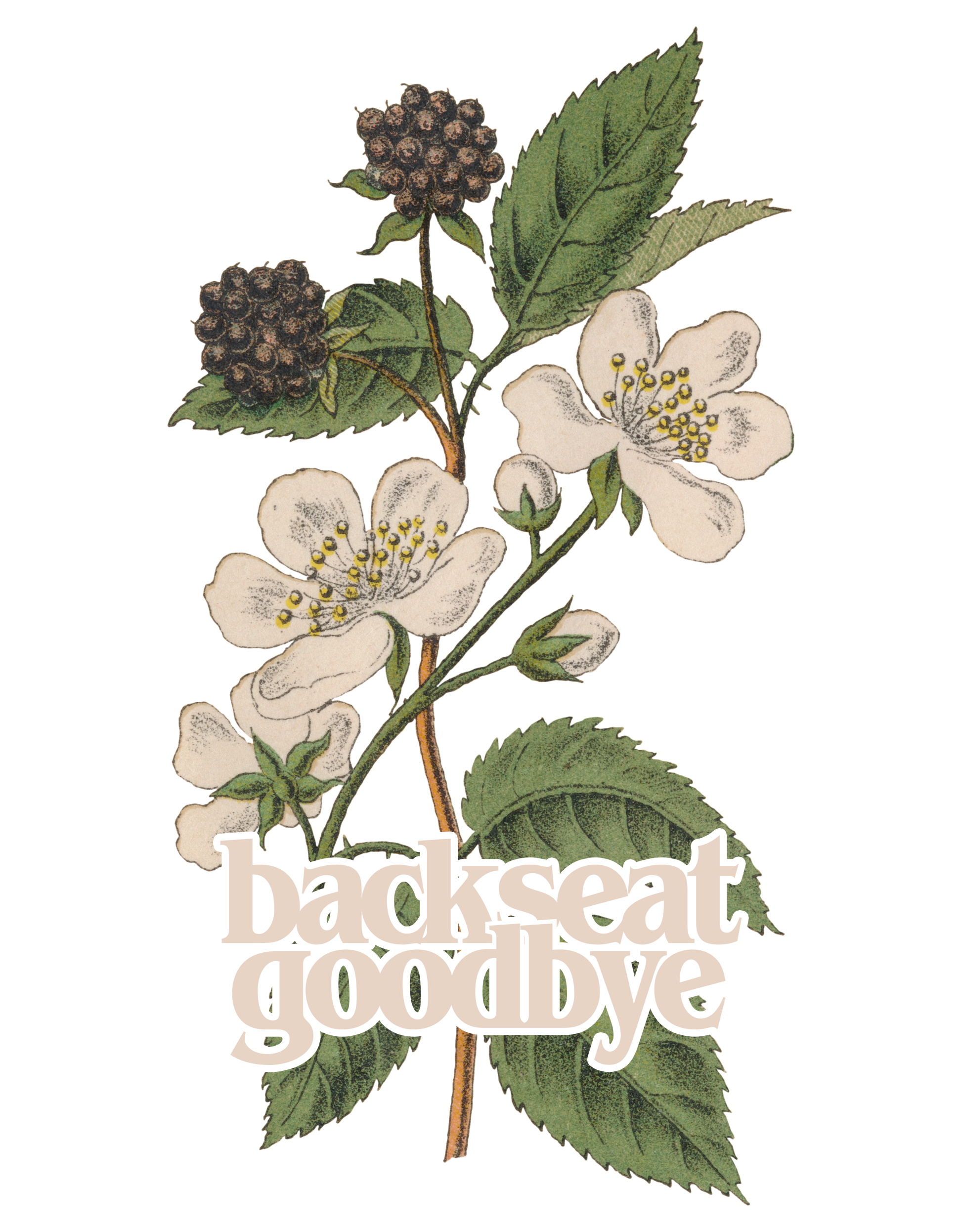 BG Ephemera Black Flower Tee